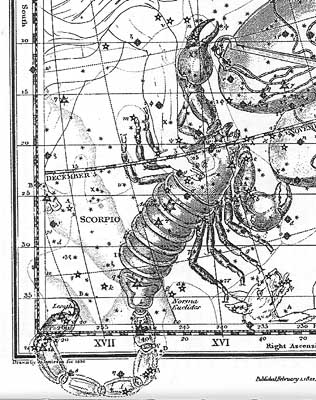 constelação de escorpiao em representação artistica