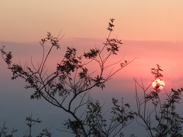 Outubro/08 - 'Por do Sol de Inverno' - Gladson Torres de Souza (Monitor do Frei Rosário)

        Mais um lindo 'Por do Sol' fotografado do pátio do Frei Rosário.